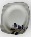 6 Dinner Plates